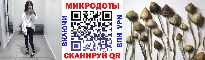 Галлюциногенные грибы мухоморы Бабушкин